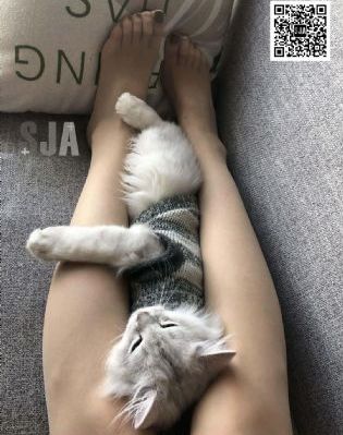 手机在线综合亚洲欧美_国产剧免费观看韩国