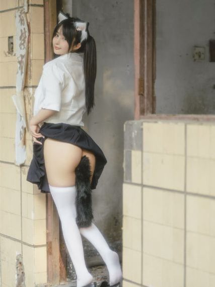 性价比好的国产猫粮_720高清完整版